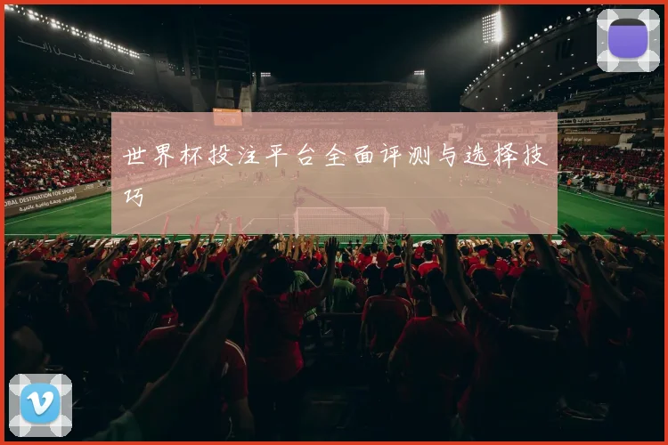 世界杯投注平台全面评测与选择技巧