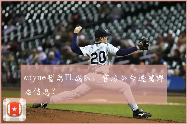 wayne暂离TL战队，官方公告透露哪些信息？