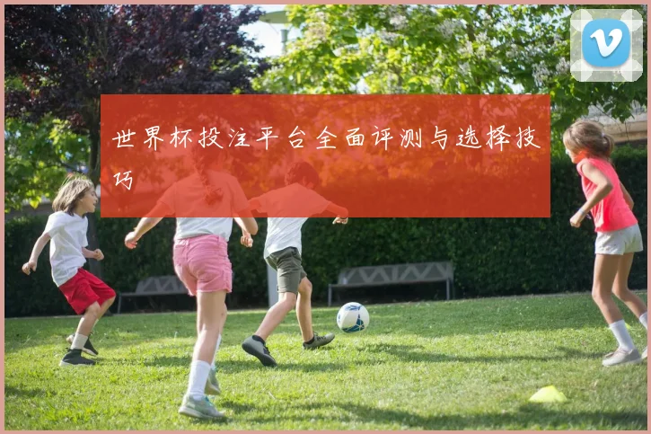 世界杯投注平台全面评测与选择技巧